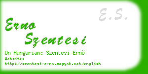 erno szentesi business card